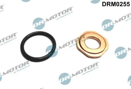 Ремкомплект форсунки 2 елемента DR MOTOR DRM0255