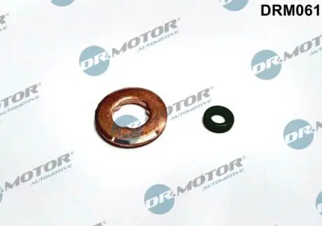 Ремкомплект форсунки 2 елементи DR MOTOR DRM061