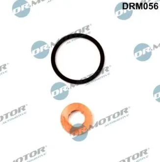 Ремкомплект форсунки 2 елемента DR MOTOR DRM056