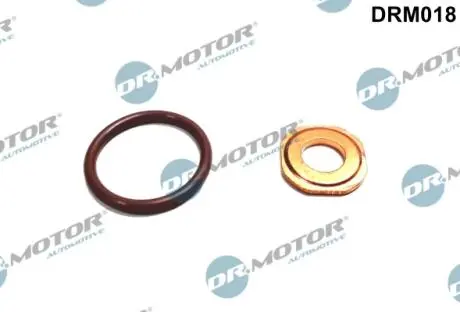 Ремкомплект форсунки 2 елементи DR MOTOR DRM018