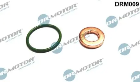 Ремкомплект форсунки 2 елемента DR MOTOR DRM009