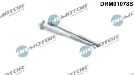 Болти крiплення форсунки к-т DR MOTOR DRM01078S