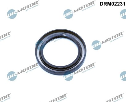 Прокладка клапанної кришки DR MOTOR DRM02231