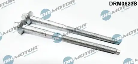 Болт крiплення форсунки, 2шт. DR MOTOR DRM0623S