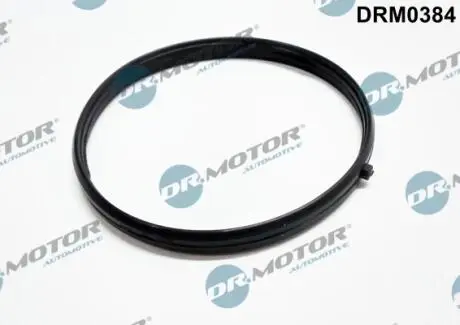 Прокладка впускного колектора DR MOTOR DRM0384