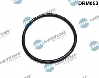 Прокладка паливного фiльтра DR MOTOR DRM053 (фото 1)