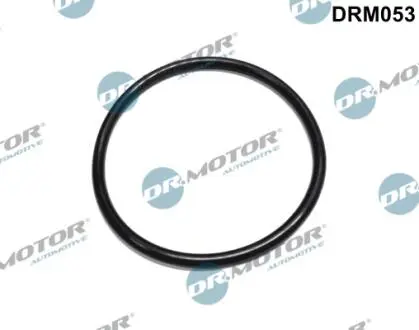 Прокладка паливного фiльтра DR MOTOR DRM053