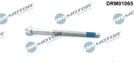 Болт крiплення форсунки DR MOTOR DRM01065