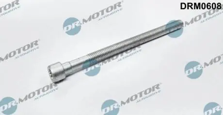 Болт крiплення форсунки DR MOTOR DRM0608