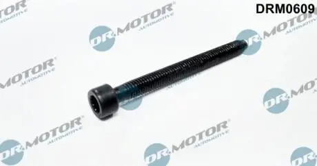 Болт крiплення форсунки DR MOTOR DRM0609