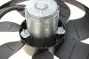 Вентилятор охолодження двигуна Audi A3/TT/Skoda Fabia/Octavia/VW Bora/Golf/Polo 1.0-2.3 94- AIC 50858 (фото 7)