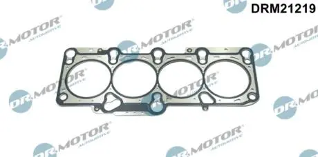 Прокладка пiд головку Audi A4/A6/VW Passat 2.0 00-08 DR MOTOR DRM21219