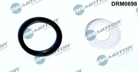 Сальники валу, к-т DR MOTOR DRM0698
