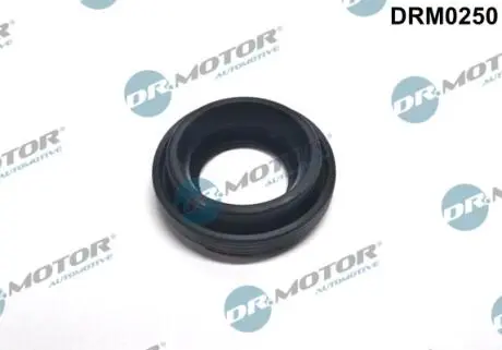 Сальник форсунки DR MOTOR DRM0250