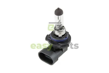 Лампочка (упаковка 10 шт.) NTY EZ-HB4