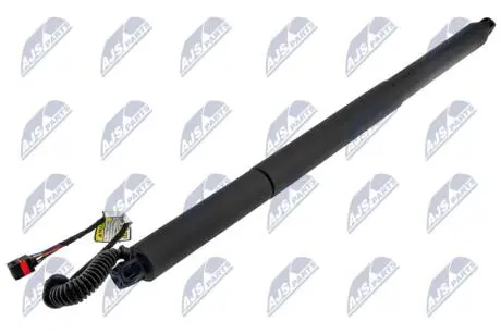 ГАЗОВАЯ ПРУЖИНА ЗАДНЕЙ ДВЕРИ NTY AE-SK-025
