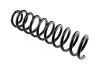 Пружина підвіски пер NTY ASZ-CH-003 (фото 2)