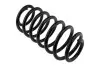 Пружина підвіски пер NTY ASZ-CH-002 (фото 2)