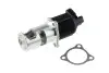 Клапан EGR Renault Clio II 1.5 dCi 01- Megane II 1.5dCi 02- Kangoo 1.5 dCi 01- NTY EGR-NS-001 (фото 2)