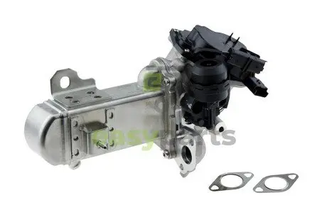 Клапан EGR NTY EGR-FR-009