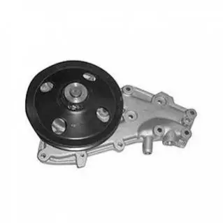 Помпа води RENAULT 9,11,19,21,CLIO,RAPID,SUPER 5 [352316170956] MAGNETI MARELLI WPQ0956