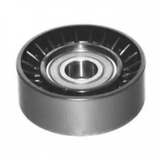 Ролик модуля натягувача ременя MAGNETI MARELLI MPQ0606