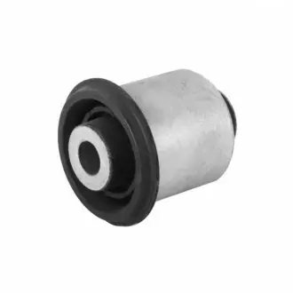 DB С/блок заднього важеля W164 SKF VKDS 438016