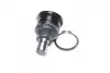 Опора кульова FORD FIESTA VI, B-MAX 08- RIDER RD.99351737309 (фото 1)