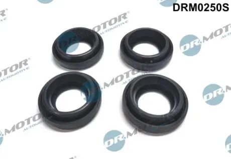 Сальник форсунки, 4 шт DR MOTOR DRM0250S