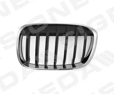 Решетка радиатора Signeda PBM07124GAL