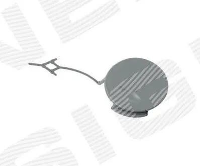 Заглушка КРЮКА Signeda POP99038CA