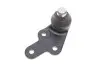 Кульова опора прав (нижн пер) (Ø 21mm) FORD KUGA I, KUGA II 2.0D/2.5 02.08- LEMFORDER 37886 01 (фото 2)