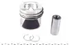 Поршень 0.50 Mercedes Benz Sprinter/W639 OM651 09- (83.5 mm) NPR 130 010 0017 21 (фото 1)