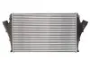 Интеркулер THERMOTEC DAX005TT (фото 1)