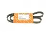 Ремінь генератора Renault Kangoo/Megane/Laguna 1.4/1.5 dCi/1.6 03-/Audi A6 4.2FSI 06-11 AUTOTECHTEILE 905 1135 (фото 1)
