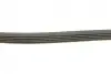 Ремінь генератора Renault Kangoo/Megane/Laguna 1.4/1.5 dCi/1.6 03-/Audi A6 4.2FSI 06-11 AUTOTECHTEILE 905 1135 (фото 2)