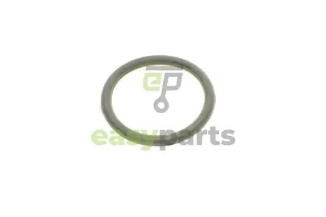 Прокладка колектора впускного Renault Kangoo/Laguna II/Trafic 1.4-2.0 01- ROTWEISS RWS1773