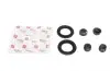 Ремкомплект супорта (переднього) VW Crafter 30-35/30-50 06-13 (Brembo) Solgy 223037 (фото 1)