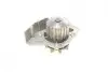 Помпа води Citroen C4/C5/C8/Jumpy/Berlingo 2.0HDi/Fiat Scudo/Ducato 1.9D/2.0JTD 98- AUTOTECHTEILE 508 0106 (фото 3)