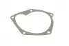 Помпа води Renault Kangoo/Megane/Scenic/Clio/Nissan Almera/Kubistar/Micra 1.5dCi 01- AUTOTECHTEILE 508 0100 (фото 6)