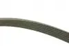 Комплект ременя генератора VW T5 1.9 TDI 03-09 (6DPK 1195) INA 529 0465 20 (фото 6)