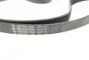 Комплект ременя генератора Renault Laguna II 1.9 dCi/2.0 16V 01- (7PK 1795) INA 529 0412 10 (фото 6)