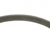 Комплект ременя генератора MB Sprinter/Vito 2.2-2.7 CDI 00-06 (6PK2260) INA 529 0115 22 (фото 9)