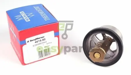 Термостат BMW 5 (E60)/6 (E63) 5.0i 04-10 WAHLER 4619.80