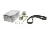 Комплект ГРМ + помпа Skoda Fabia 1.9TDI 00-08/VW 1.4TDI 99-05/Audi A2 1.4TDI 00-05 (120x30) HEPU PK05541 (фото 1)
