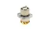 Комплект ГРМ + помпа Skoda Fabia 1.9TDI 00-08/VW 1.4TDI 99-05/Audi A2 1.4TDI 00-05 (120x30) HEPU PK05541 (фото 8)
