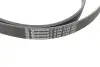 Комплект ременя генератора + помпа Audi A1/A3/Seat Ibiza/Skoda Octavia 1.4/1.6 02- HEPU PK05810 (фото 2)