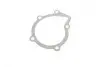 Комплект ГРМ + помпа Citroen/Peugeot/Fiat Scudo/Ducato/Hyundai 1.8/1.9D/TD 94-06 (136x25.4) (PA911) HEPU PK09610 (фото 2)