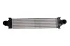 Интеркулер THERMOTEC DAI002TT (фото 1)