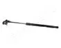 TOYOTA газовий амортизатор капота Land Cruiser -02 JAPANPARTS ZS20013 (фото 1)